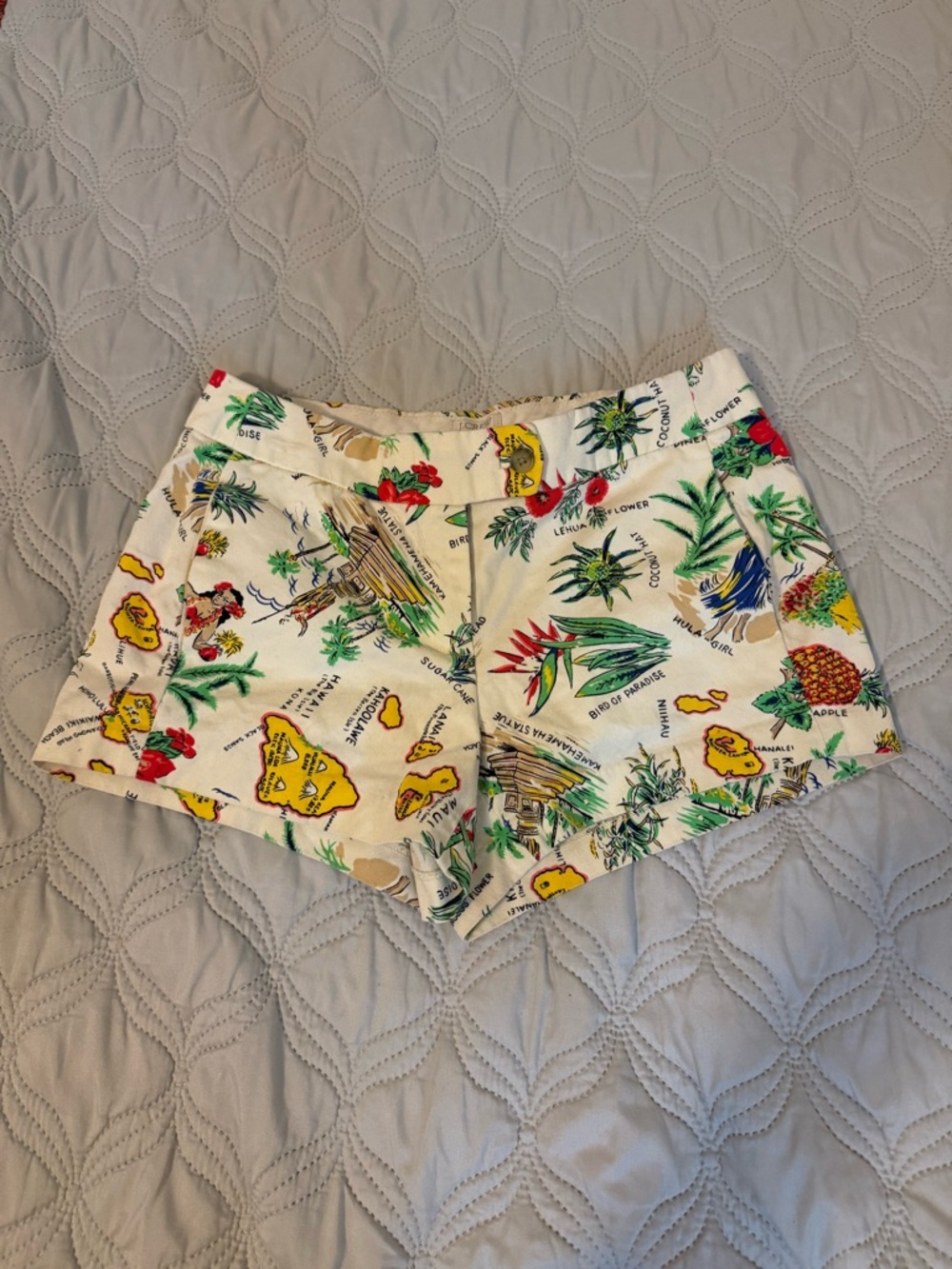 J.Crew Hawaiian Print Chino Shorts Size 0 Tropical Novelty Map Shorts